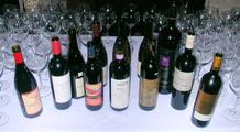 Lineup of younger wines1.jpg